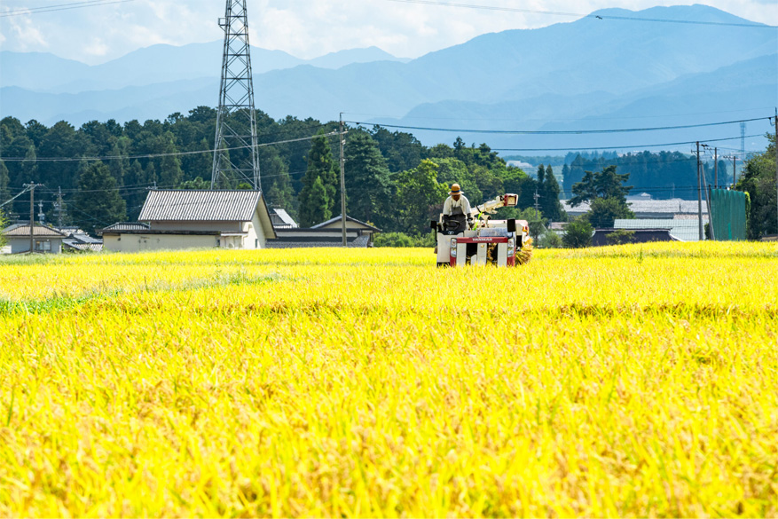 環境が支える豊かな実り